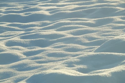 Blaa Oy:n konkurssipesä, YLÖJÄRVI (444444-3)